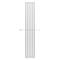 Arbiola Mono H 2200-60-06 секции белый вертикальный радиатор c боковым подключением